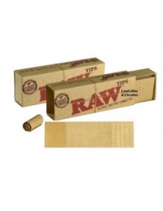 Raw Tips de cartón...