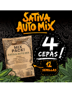 Seed Stockers Sativa Auto Mix