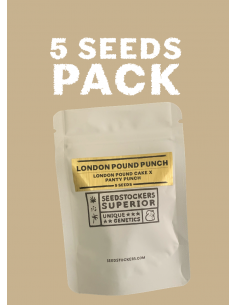 London Pound Punch Seed...